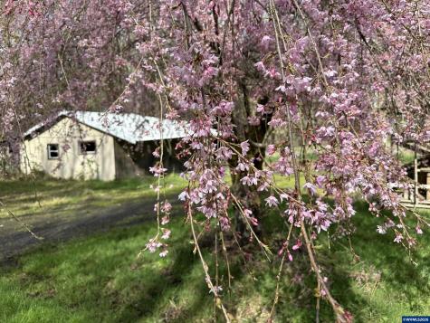 26622 Fudge Road Alsea OR 97324