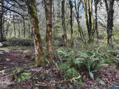 26622 Fudge Road Alsea OR 97324