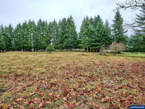 20788 Hazelnut Ridge Road NE Scotts Mills OR 97375