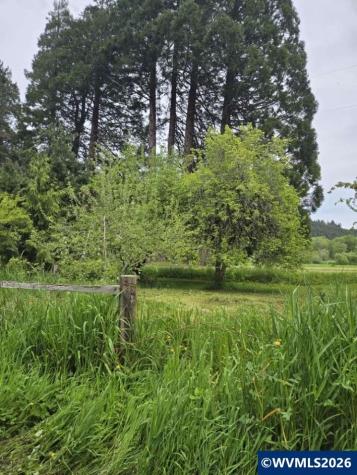 10195 Sweet Creek Road Mapleton OR 97453