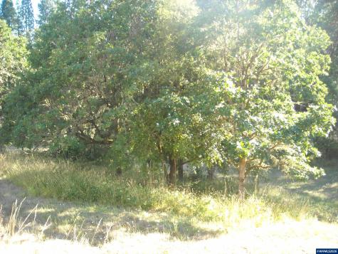 3350 NW Tanager Drive Corvallis OR 97330
