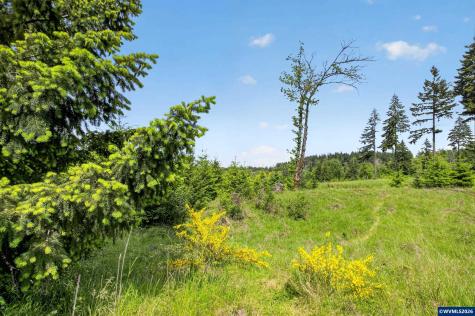 5714 Crooked Finger Road NE Scotts Mills OR 97375
