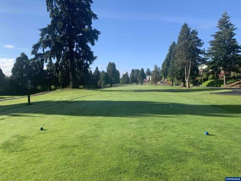 1619 Nut Tree Drive NW Salem OR 97304