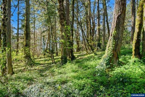 9855 Liberty Road S Salem OR 97306