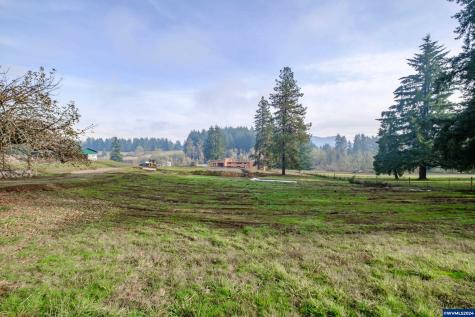 Highway 228 (Lot #3) Sweet Home OR 97386