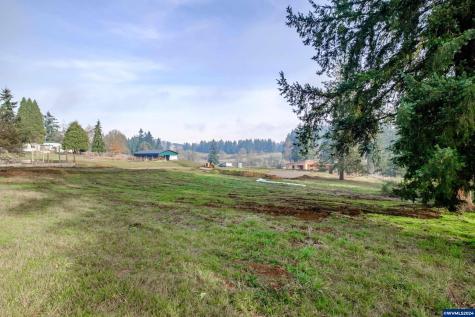 Highway 228 (Lot #3) Sweet Home OR 97386