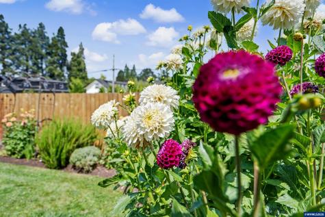 801 Pintail Street Silverton OR 97381