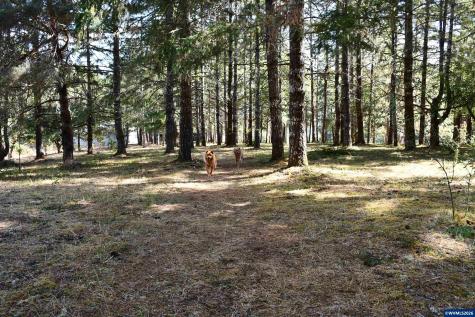27494 S Boundary Road Corvallis OR 97330