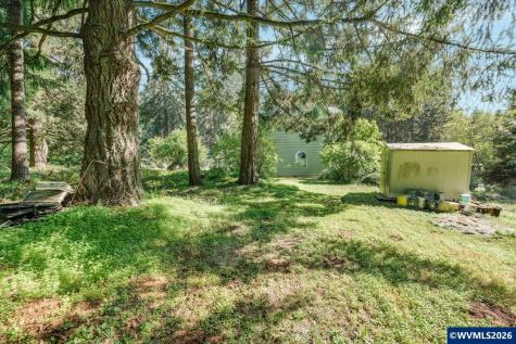 43288 Rodgers Mountain Lp Scio OR 97374-0000