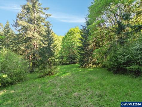 43288 Rodgers Mountain Lp Scio OR 97374-0000