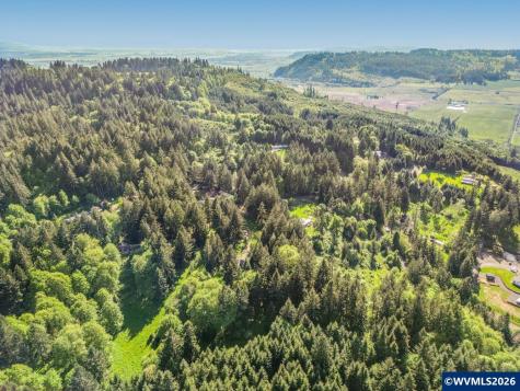 43288 Rodgers Mountain Lp Scio OR 97374-0000