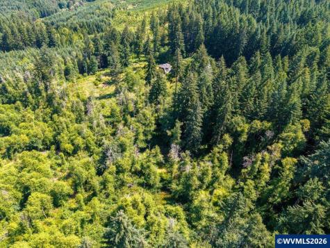 17016 Bratten Hill Alsea OR 97324
