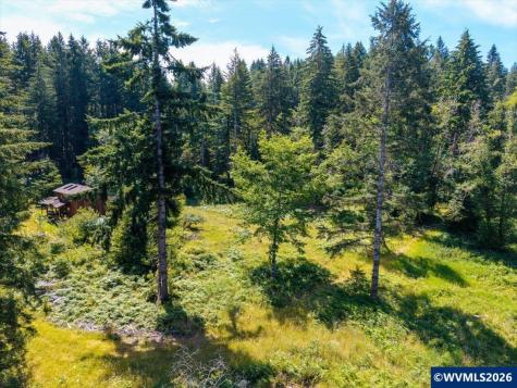 17016 Bratten Hill Alsea OR 97324