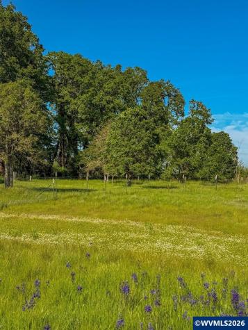 39096 Shelburn Drive Scio OR 97374
