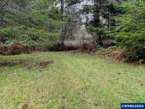 17463 Alsea (-17523) Highway Alsea OR 97324