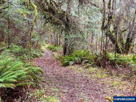 17463 Alsea (-17523) Highway Alsea OR 97324