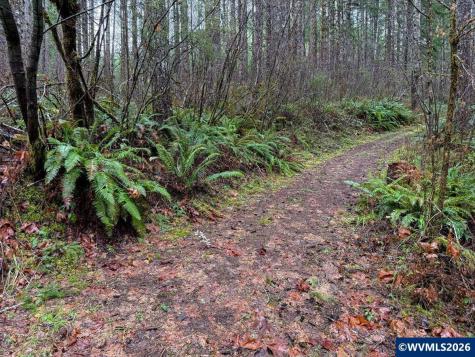 17463 Alsea (-17523) Highway Alsea OR 97324