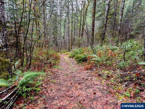 17463 Alsea (-17523) Highway Alsea OR 97324