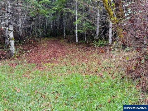 17463 Alsea (-17523) Highway Alsea OR 97324