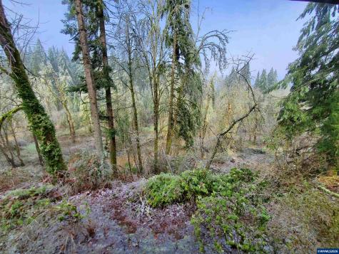 4359 64th Place NE Salem OR 97305