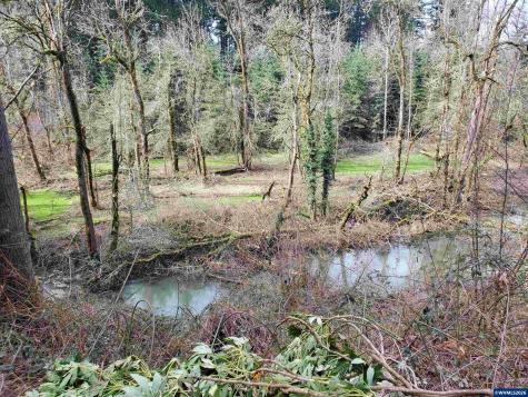 4359 64th Place NE Salem OR 97305