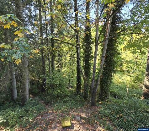 4359 64th Place NE Salem OR 97305