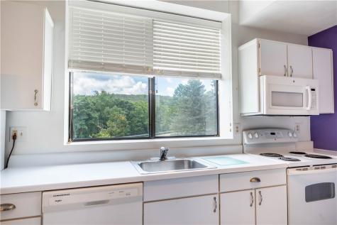 8036 Meadowridge Drive Seven Springs Resort PA 15622