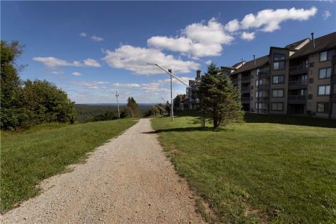 C26AB Stoneridge Drive Seven Springs Resort PA 15622