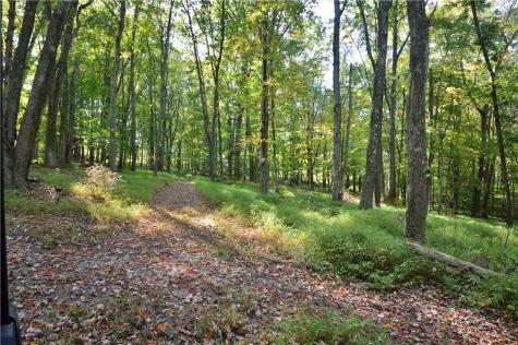 0 Legionville Road Harmony Township PA 15003