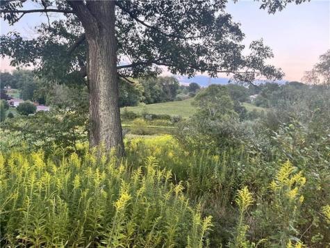 Lot #2 Saxonburg Road Township Of But Se PA 16002