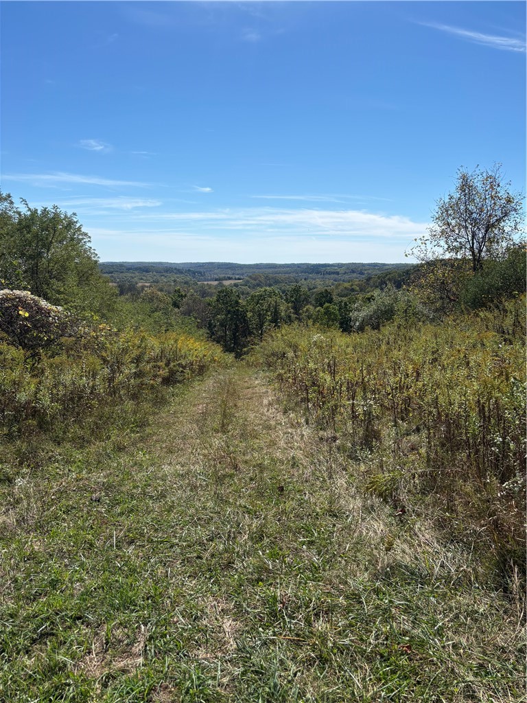 LOT#1 Christie Road Washington Township PA 16061