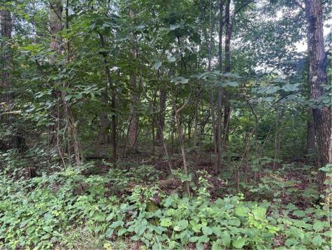 LOT#1 Christie Road Washington Township PA 16061