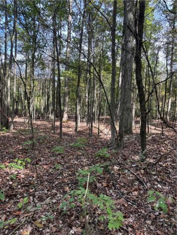 LOT#1 Christie Road Washington Township PA 16061