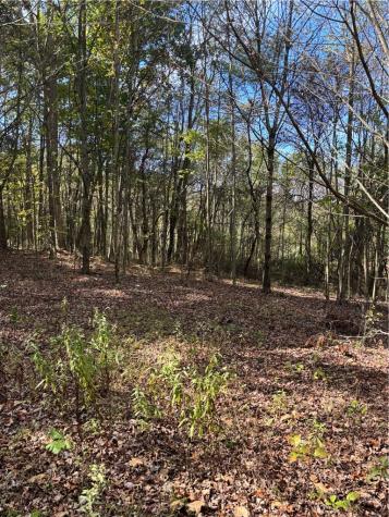 LOT#1 Christie Road Washington Township PA 16061