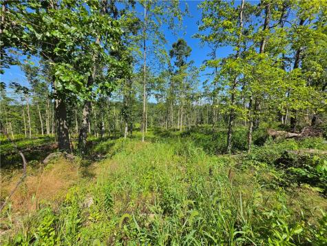 0 Christie Road Washington Township PA 16040