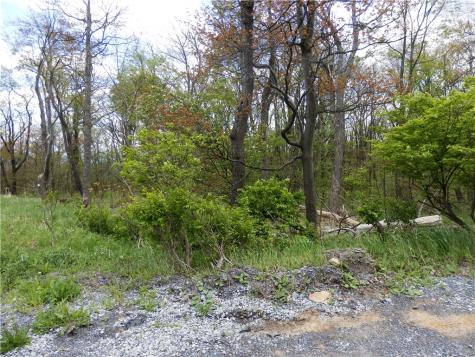 Lot 79 Hawks Nest Road Allegheny Township PA 15926
