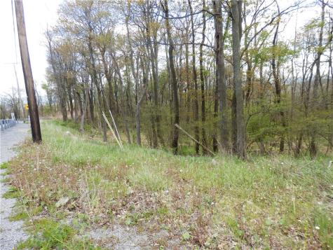 Lot 79 Hawks Nest Road Allegheny Township PA 15926