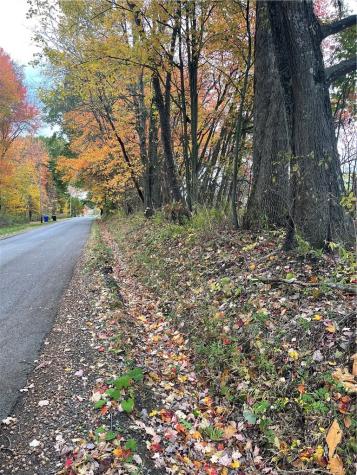 0 Browntown Road Mercer Township PA 16038