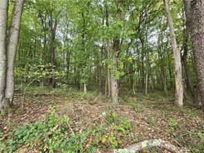 000 Lot 22 Dally Road Long Branch Boro PA 15423