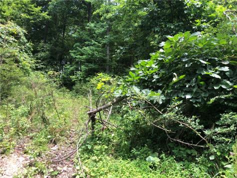 224-225 Old Mill Road Ohiopyle PA 15470