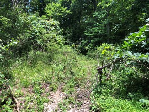 224-225 Old Mill Road Ohiopyle PA 15470