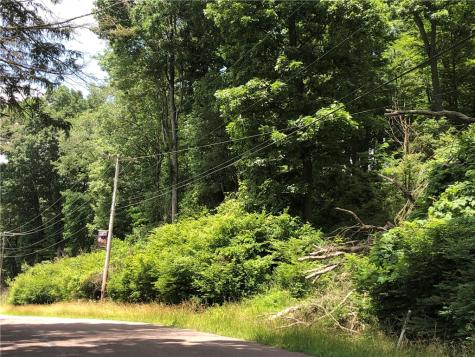 224-225 Old Mill Road Ohiopyle PA 15470