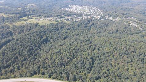 0 Mudlick Hollow Road Brighton Township PA 15009