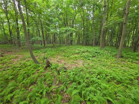 0 Mudlick Hollow Road Brighton Township PA 15009