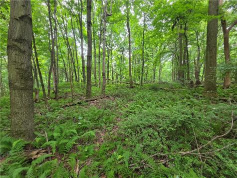 0 Mudlick Hollow Road Brighton Township PA 15009