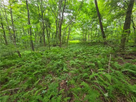 0 Mudlick Hollow Road Brighton Township PA 15009
