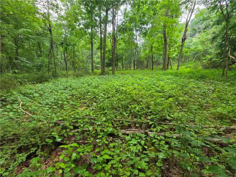0 Mudlick Hollow Road Brighton Township PA 15009