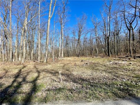 13 14 15 16 Laurel Summit Road Jenner Township PA 15531