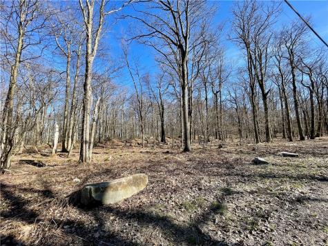 13 14 15 16 Laurel Summit Road Jenner Township PA 15531