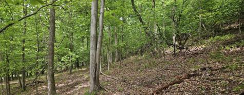 0000 Reservoir Road Bell Township PA 15681
